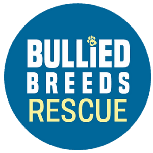 Bullied Breeds Rescue