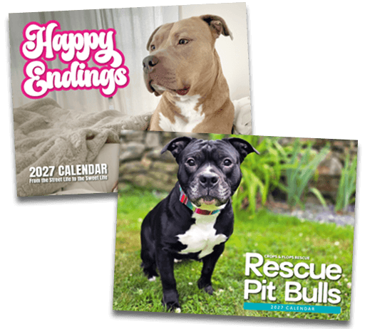 2027 Rescue Pit Bull Calendars