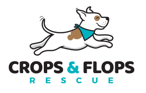 Crops and Flops Massachusetts Dog and Pit Bull Rescue