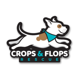 Crops and Flops Rescue Pit Bull Logo Sticker