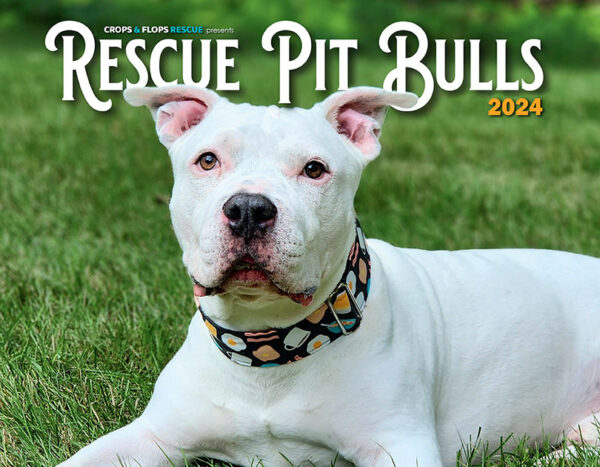 2024 Rescue Pit Bulls Calendar