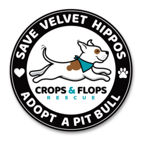 Crops and Flops Rescue Save Velvet Hippos Adopt a Pit Bull Magnet