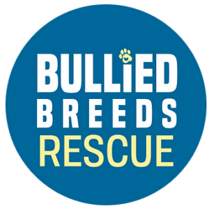 Bullied Breeds Rescue