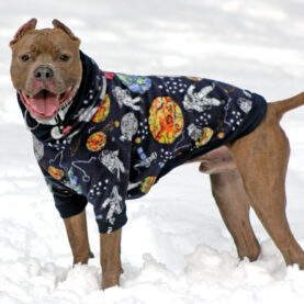 Pit Bull Fleece Dog Jacket