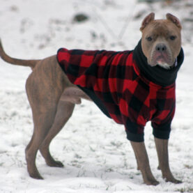 Pit Bull Fleece Dog Jacket