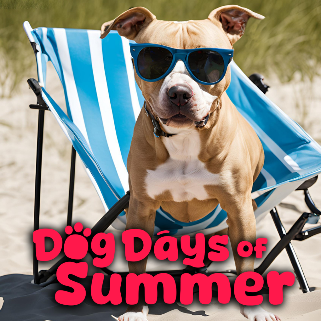Dog Days of Summer Adoption Event