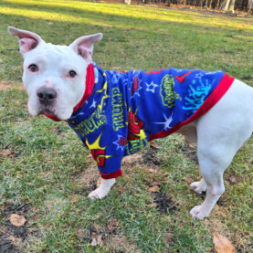 Pit Bull Fleece Dog Jacket