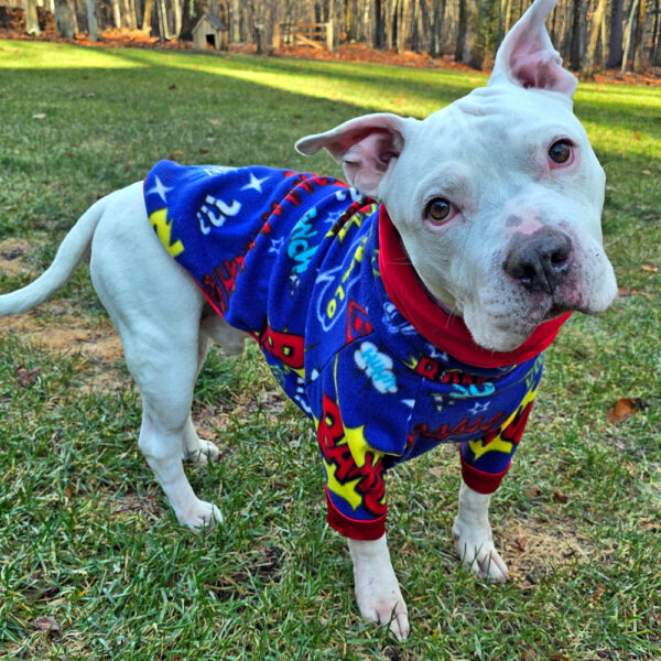 Pit Bull Fleece Dog Jacket