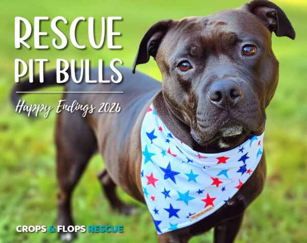 2026 Pit Bull Calendar