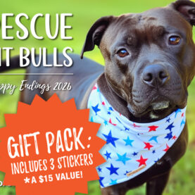 2026 Pit Bull Calendar Gift Pack with Stickers
