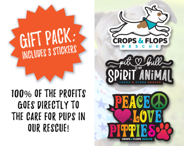2026 Pit Bull Calendar Gift Pack with Stickers