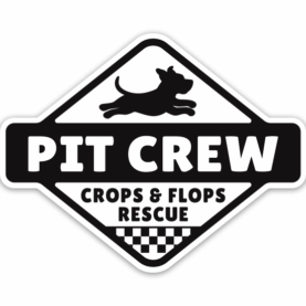 Pit Crew Pit Bull Sticker