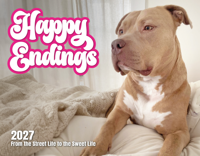 2027 Happy Endings Pit Bull Calendar