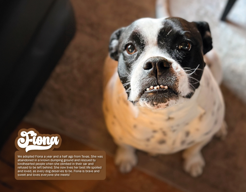 2027 Happy Endings Pit Bull Calendar
