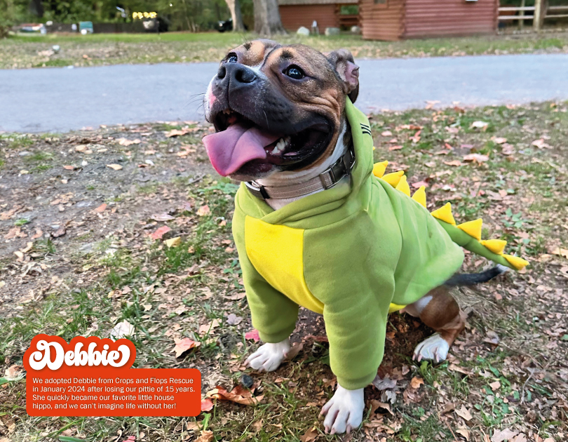 2027 Happy Endings Pit Bull Calendar