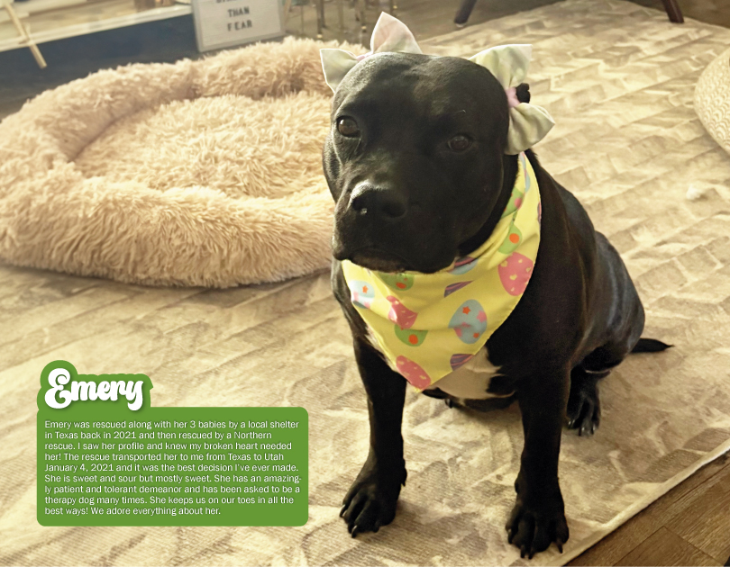 2027 Happy Endings Pit Bull Calendar