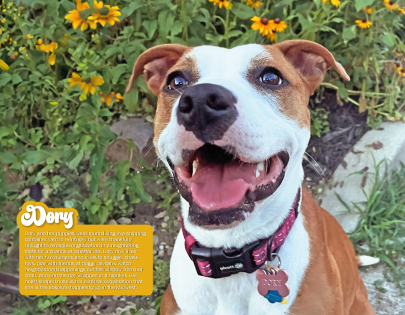 2027 Happy Endings Pit Bull Calendar