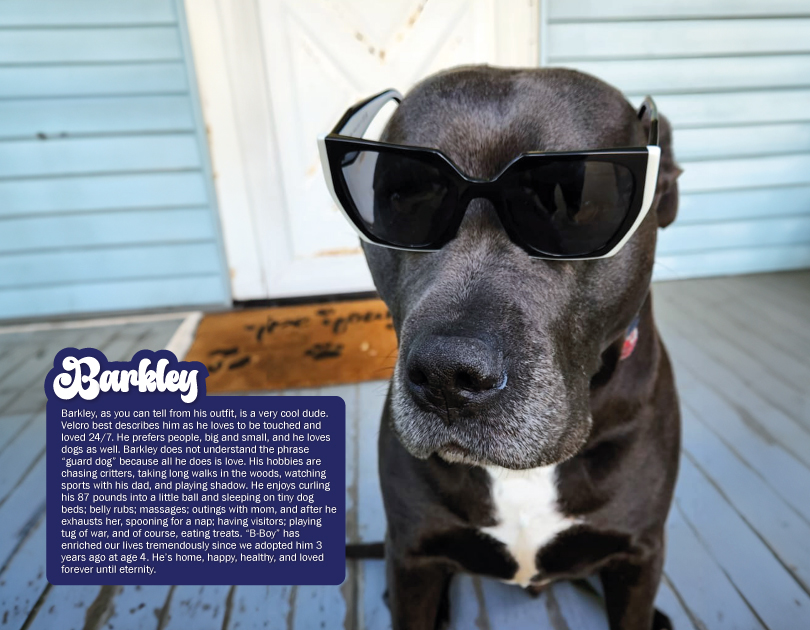 2027 Happy Endings Pit Bull Calendar