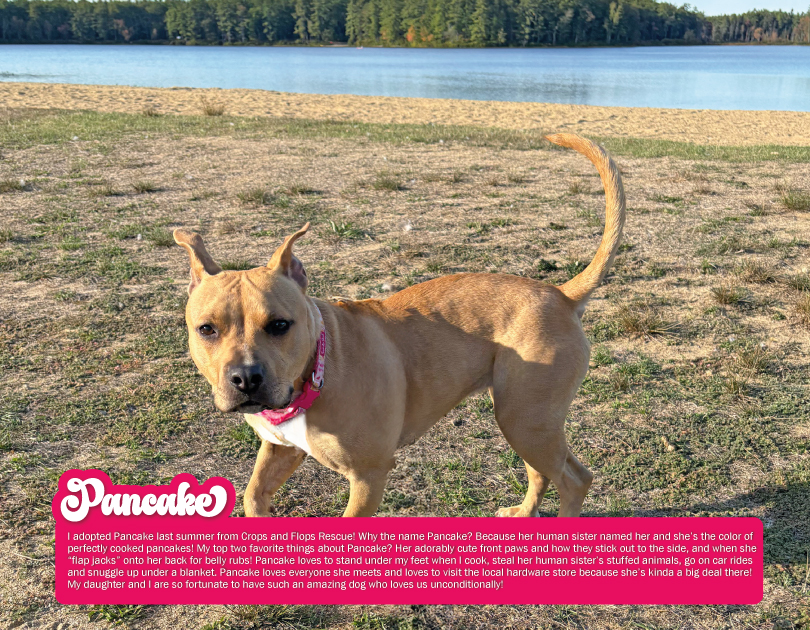 2027 Happy Endings Pit Bull Calendar