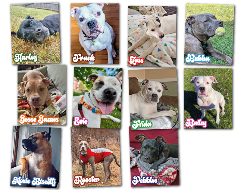 2027 Happy Endings Pit Bull Calendar